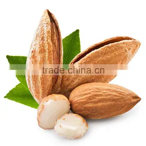 2016 New Almonds thumbnail-1