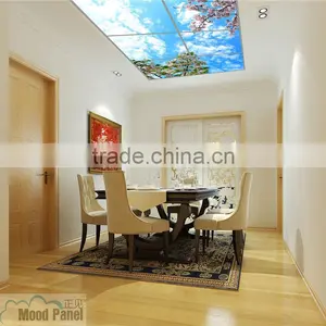 2016 Luminous Led Sky Curtain Wall Panel thumbnail-5