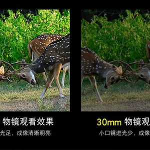 Handy 10X42 Anti-Frog Telescope for Sightseeing Bird Watching Hiking Spotting Scope thumbnail-4