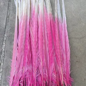 Dyed Half of Pink Ringneck Pheasant Tail Feather for Wholesale From China thumbnail-1
