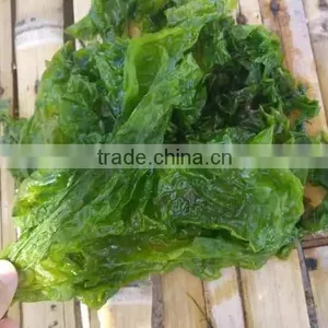 Factory Supply Natural Seaweed Food Condiment Dried Green Ulva Powder/Flakes thumbnail-3