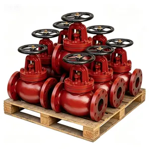 JIS F7305 J Type Flanged Cast Iron Straight Through Globe Stop Valve for Marine thumbnail-3