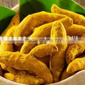 Turmeric-high Quality thumbnail-1