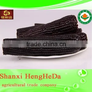 Products China Premium Quality Indian Corn thumbnail-6