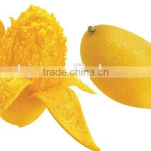Mango Seed Removing Machine | Peeling Machine thumbnail-5