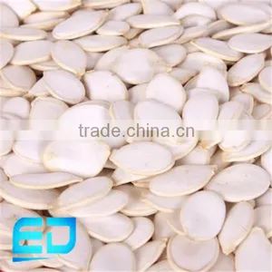 High Quality Pumpkin Seed thumbnail-1