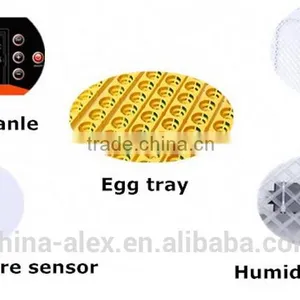 China Full High Quality Automatic Mini Egg Incubator for Sale(capacity 56pcs Eggs) thumbnail-4