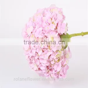 For Birthday Decoration Cheap Natural Hydrangea Latex Hydrangea From Yunnan, China thumbnail-4