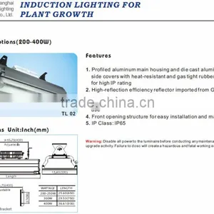 Low Bay Induction Lighitng thumbnail-3