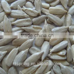 CONFECTIONARY GRADE SUNFLOWER SEED KERNELS thumbnail-1