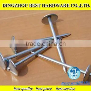 Galvanized Zinc Coated Roofing Nails With Umbrella Head thumbnail-1