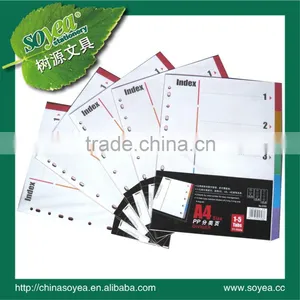 pp Sheet Protector thumbnail-1