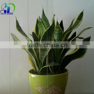 Glass Manufacturing Process 3-19mm Wired Glass and the Lowest Wired Mesh Glass Price thumbnail-6