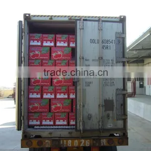 China Fresh Fruit thumbnail-4
