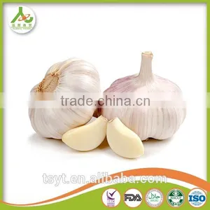 Bulk in Different Packing Fresh Garlic Garlic White Garlic thumbnail-1