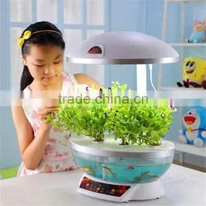Aquarium Supply thumbnail-3