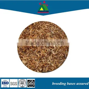 Manufacturers Pet Lizard Plastic Tub Food Dried Shrimp thumbnail-1