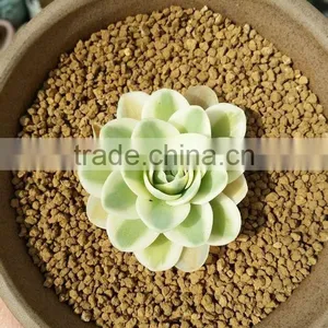 Porosity Soil/Gardening Soil/Horticulture Soil thumbnail-5