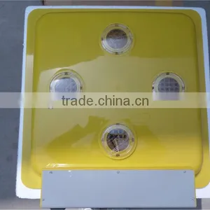 Wholesale CE Approved Chicken Egg Incubator Prices for Family Use (WQ-48) thumbnail-4