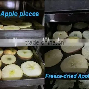 Automatic Fruits and Vegetables Freeze Dryer thumbnail-6