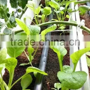 Hydroponic Gully for Large Crops thumbnail-5