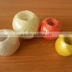 High Quality PP Tomato Twine for Agriculture Greenhouse From China thumbnail-4