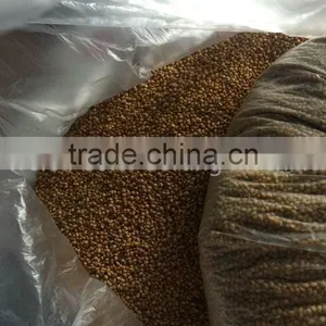 Metak Belt Type Plastic Sorting Machine thumbnail-4