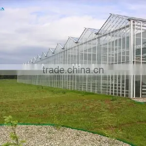 BaoLiDa Large Multi-span Greenhouse Easily Installed PC Sheet Covered Greenhouse thumbnail-2