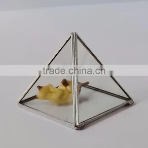 Pyramid Shaped Glass Terrarium for Indoor Plant Holder thumbnail-2