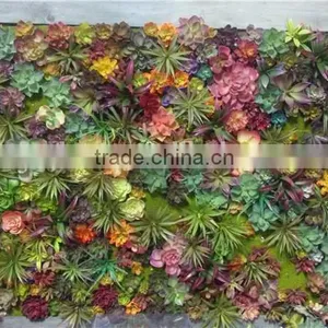 Home and Outdoor Decoration Synthetic Cheap Artificial Vertical Green Grass Succulent Wall E08 04C44 thumbnail-4