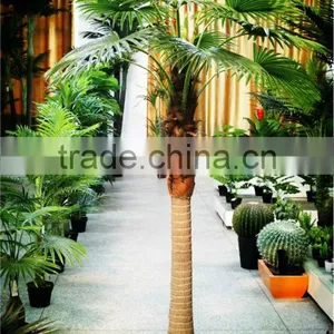 2017 Artificial Outdoor Palm Tree Plastic Palm Tree Palm Trees Sale thumbnail-6