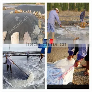 Specialty Solar Salt Crystal Pools Film Acid High-quality Geomembrane thumbnail-1