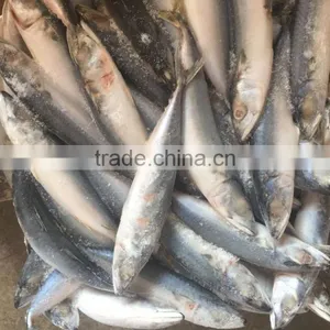 Land Frozen 80-150g Pacific Mackerel thumbnail-4