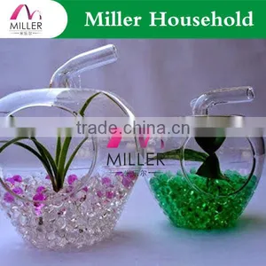 Planting Flowers Decorational Crystal Soil Water Beads thumbnail-1