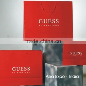 Brand Promotion Paper Bags With Logo and Brand Photos thumbnail-5