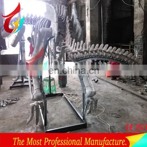 Indoor Display Fiberglass Life Size Dinosaur Skeleton thumbnail-4