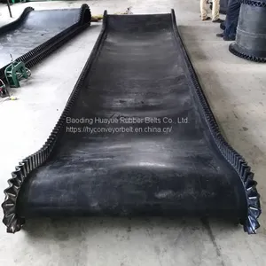 Sidewall Conveyor Belt thumbnail-2