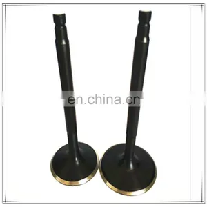 Fast Delivery Intake Exhaust Engine Valves For Toyota S137111632 S137151733 HINO J05E J08E SK200/210/250/350-8 Japan Parts thumbnail-5