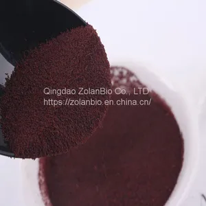 Astaxanthin Beadlets thumbnail-1