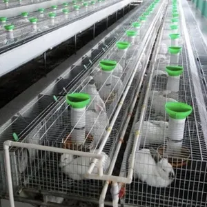 Industrial Breeding Rabbit Cages System for Rabbit Raising Industry 24/set thumbnail-1