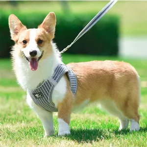 Premium Dog Chest Strap Leash Adjustable Reflective Pet Harness With Padded Handle & No-Pull Design thumbnail-1