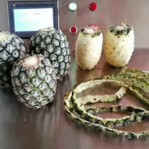 Automatic Pineapple Jackfruit Peeler Peeling Coring Slicing Cutting Processing Separating Machine thumbnail-4