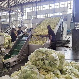 Best Automatic Food Dehydrator Moringa Leaves Kale Cabbage Dryer Vegetable Cleaning and Drying Production Line Equipment EPC thumbnail-1