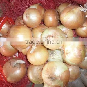 2015 Crop Fresh Yellow Onion Supplier From China thumbnail-2