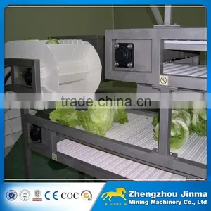 High Quality Fruit Belt Conveyor thumbnail-2