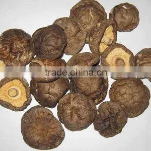 CT-C Series Hot Air Circulating Drying Oven for Mushroom thumbnail-4