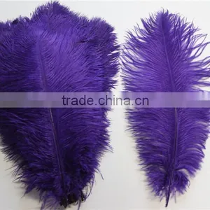 14"-16" Wholesale Purple Ostrich Feather Fabric For Ostrich Feather Fan Decoration thumbnail-5