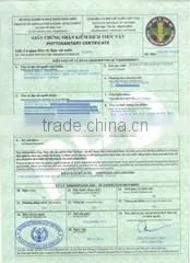 Green World Import Export Co.,ltd company overview - view 3 thumbnail
