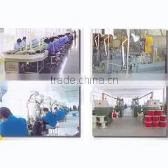 Changzhou Globaltone International Trade Co., Ltd. company overview - view 1 thumbnail