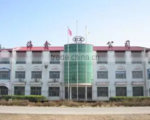 Cangzhou Haixin Pipe Fittings Manufacture Co., Ltd. company overview - view 2 thumbnail